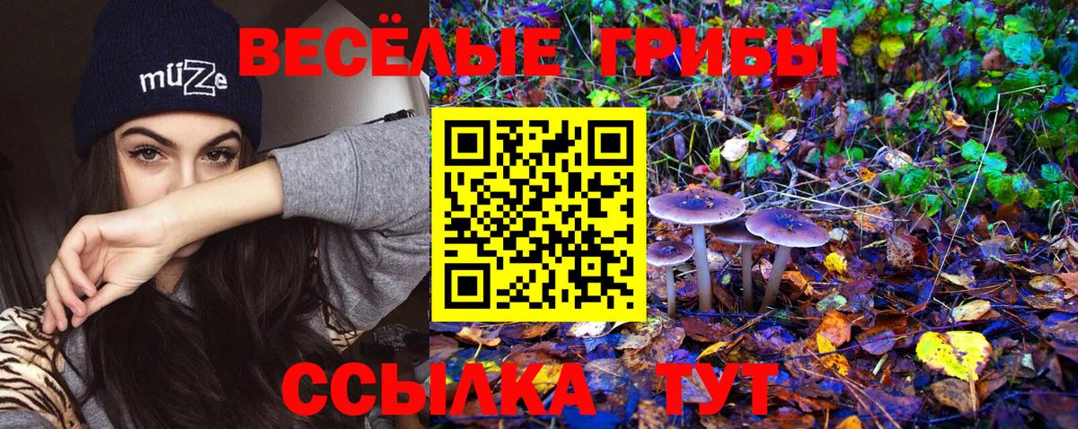 Знаменск  Галлюциногенные грибы Magic Shrooms  Галлюциногенные грибы MAGIC MUSHROOMS  Вход с VPN 